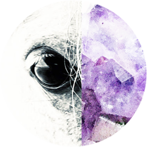 Healing Power of Crystals and Horses