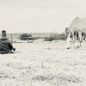 Healing Journey with Horses