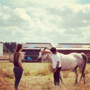 Relationship Healing with Horses