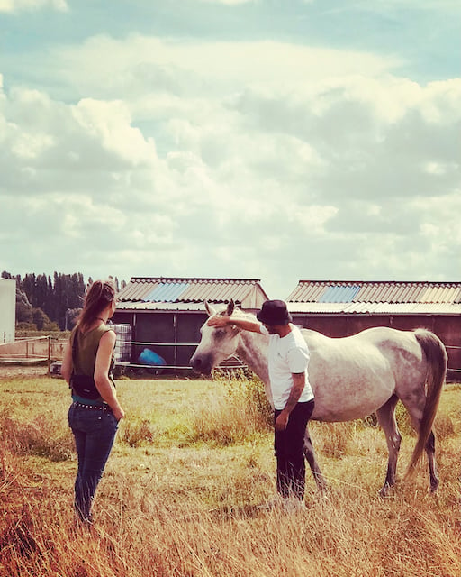 Healing sessie met Paarden