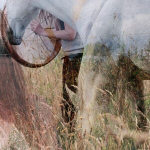 Zielspaard Helend Pad