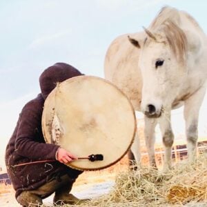 Soul Horse healing session