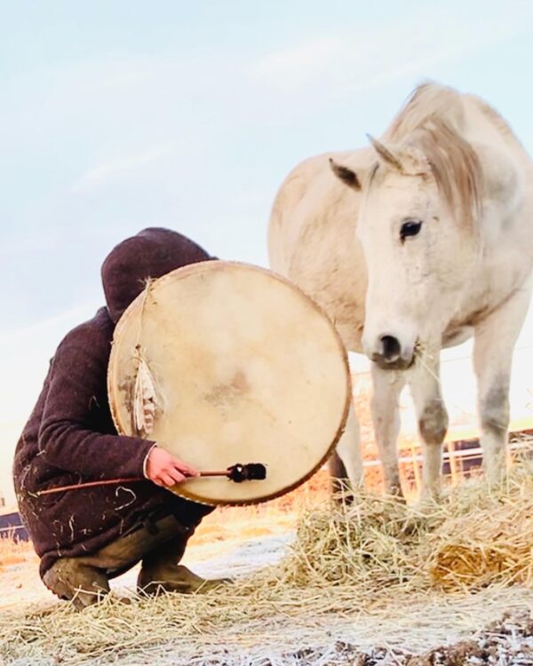 Soul Horse healing session