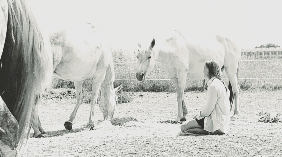 Healing met Paarden Threehorseshealing