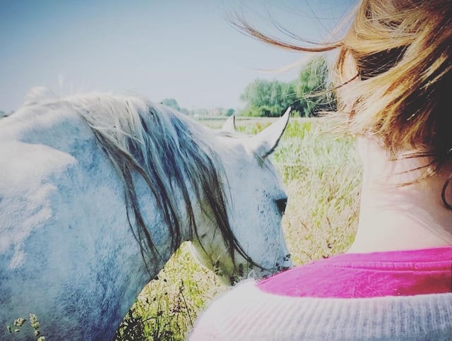 Soul Healing met Paarden - Ziel