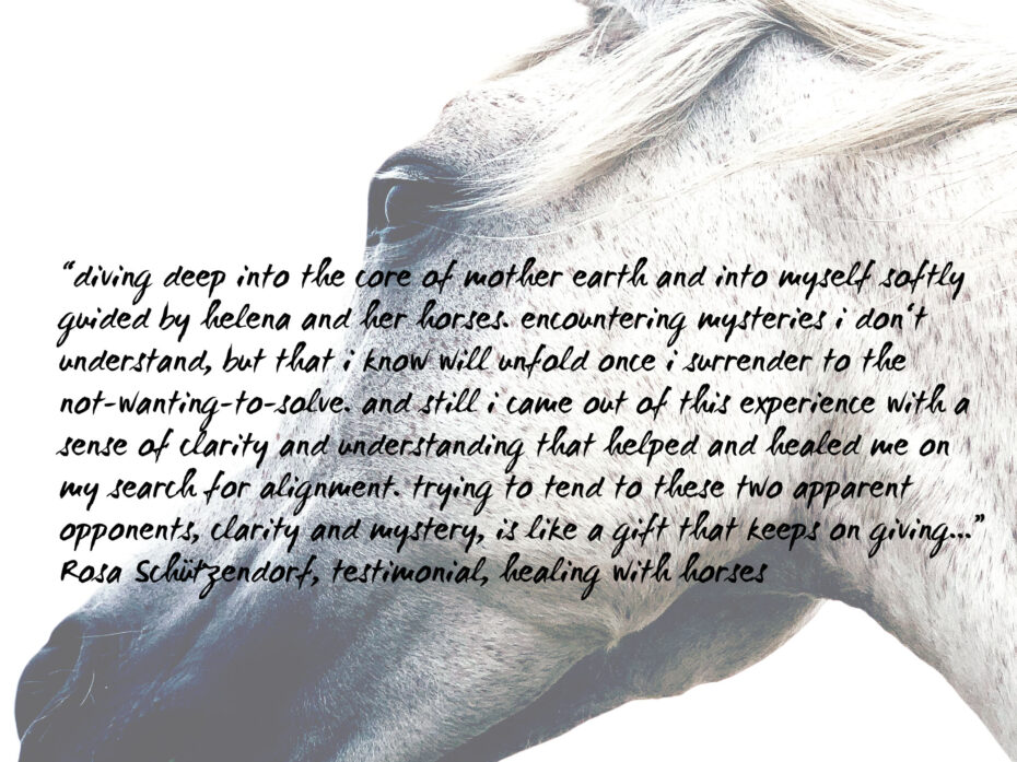 testimonial healing with horses Threehorseshealing