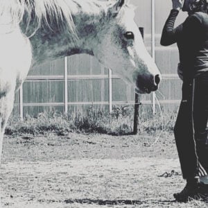 Systemic Constellation & Healing with Horses (small group)