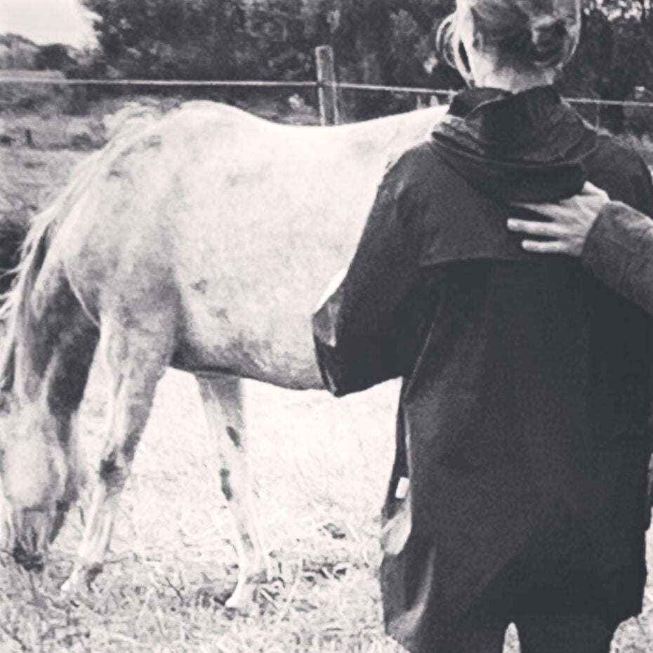 Healing sessie met Paarden