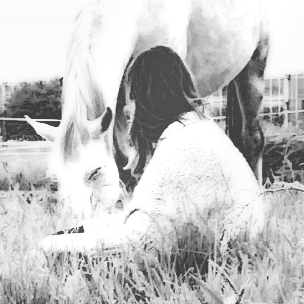 Healing met Paarden