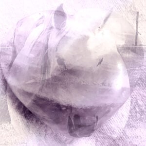 Half Day Mini Retreat: Gentle Healing Frequencies of Horses, Soul and Nature